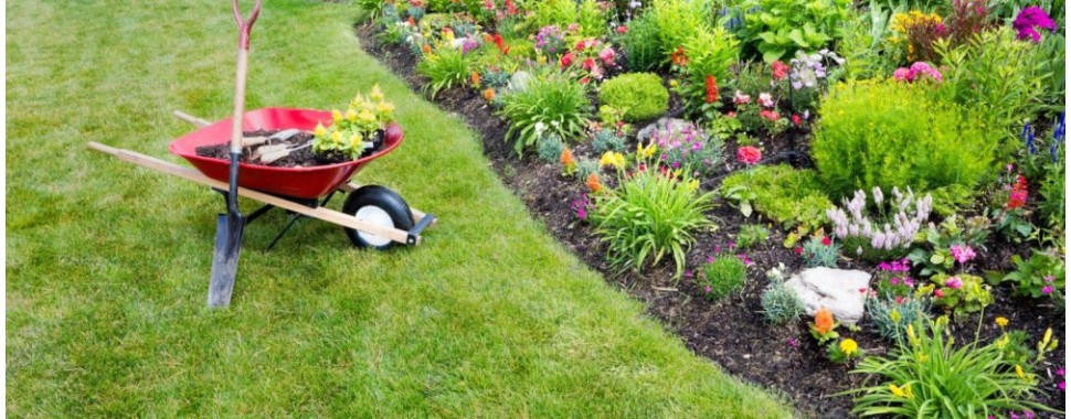 Exterieur-&-Jardin